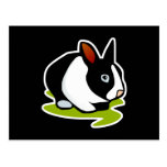 black and white bunny rabbit post card