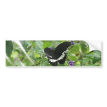 Black and White Butterfly Bumper Sticker