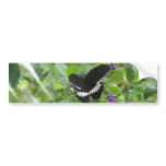 Black and White Butterfly Bumper Sticker bumper stickers
