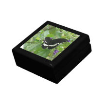 Black and White Butterfly Gift Box