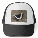 black and white butterfly mesh hat