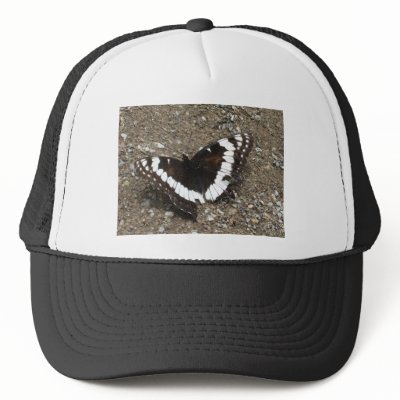 black and white butterfly mesh hat by pinkypetals