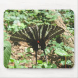 black and white butterfly  IMG_1400 mousepads