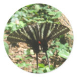 black and white butterfly  IMG_1400 stickers