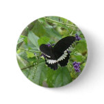Black and White Butterfly Pin