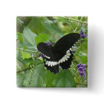Black and White Butterfly Square Button