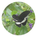 Black and White Butterfly Sticker