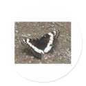 black and white butterfly stickers
