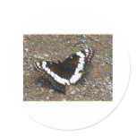 black and white butterfly stickers
