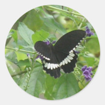 Black and White Butterfly Sticker