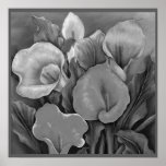 Black and White Calla Lillies Poster posters
