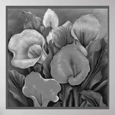 Black and White Calla Lillies Poster by SimplyBetty