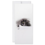Black and white cat big yellow eyes looking right rack cards