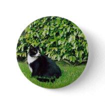 Black and White Cat Pinback Buttons