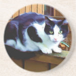 Black and White Cat coaster