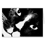 Black and white cat face close up greeting cards