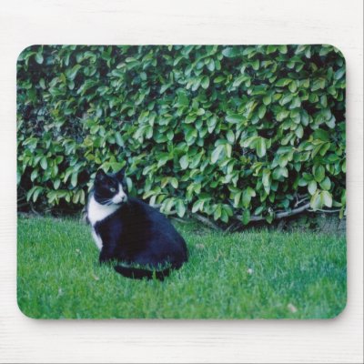 Black and White Cat Mouse Pads by quetzal323