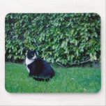 Black and White Cat mousepads