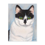 Black and White Cat Portrait Postcard