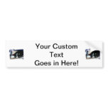 Black and white cat , santa hat, tinsel and a paw bumper stickers