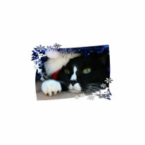 Black and white cat , santa hat, tinsel and a paw photo sculpture