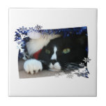 Black and white cat , santa hat, tinsel and a paw ceramic tiles