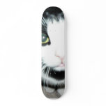 Black And White Cat skateboards
