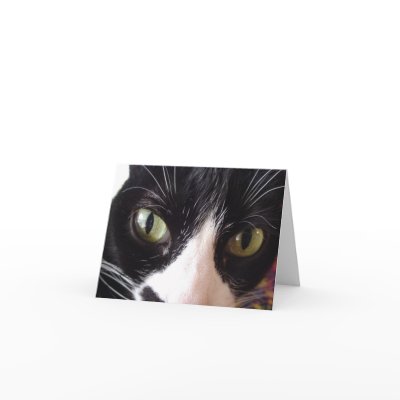 Black and White Cat with Green Eyes Note Card by susan52z