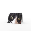 Black and White Cat with Green Eyes Note Card