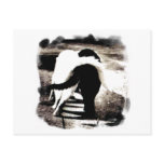Black and White Cats postcards