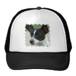 Black and White Chihuahua Baseball Hat