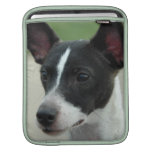 Black and White Chihuahua iPad Sleeve