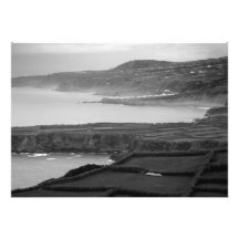 Black and white coastal landscape custom announcements