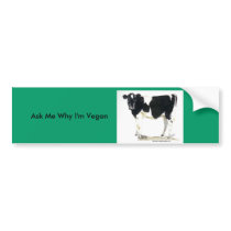 black and white cow bumper sticker