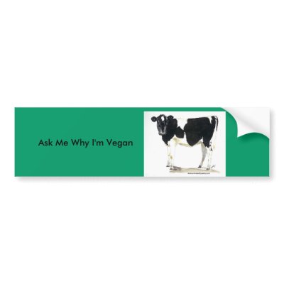 black and white cow bumper sticker by sandypolsky