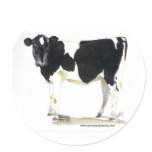 black and white cow round sticker