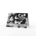 Black and White Dahlia Just a Note Card