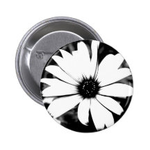Black and White Daisy Pins