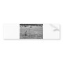 black and white deer bumper sticker