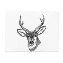 Black and White Deer Post Card