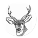 Black and White Deer Stickers