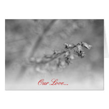 Black and White Flower Card