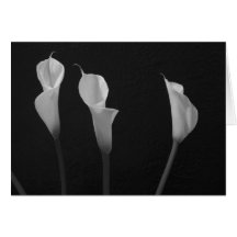 Black and White Flowers Cards