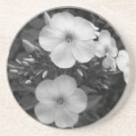 Black and White Flowers Drink Coaster