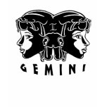 Black and White Gemini Hoodie t-shirts