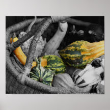 Black And White Gourds Wicker Basket Poster Print
