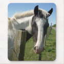 Black and White Horse Mousepad