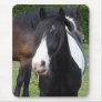 Black and White Horse Portrait Mousepad