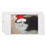 Black and White Kitten Picture Card