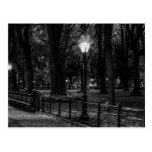 Black and White Landscape Photo of Central Park Postcard